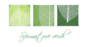 sfumature verdi