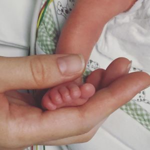 Il piccolo Angelo è nato in anticipo – Wool Crossing posticipa la riapertura di settembre