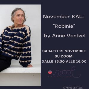November KAL: “Robinia Sweater” by Anne Ventzel